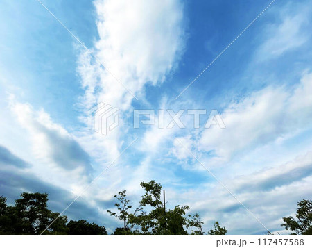 木々のシルエットと空模様 117457588