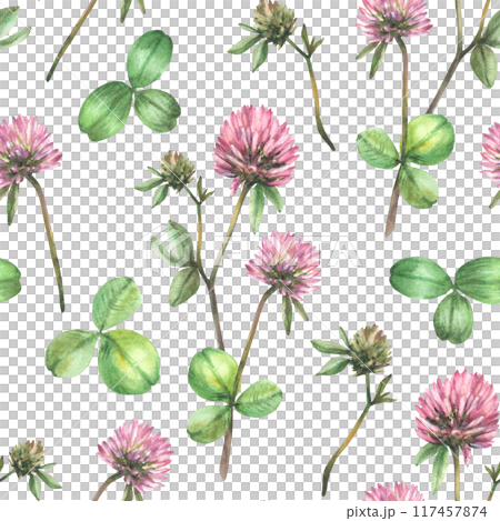 Clover flower twig with leaves and bud. Seamless pattern. Watercolor isolated illustration. Hand drawn pink field wildflowers for spring floral und botanical fabric, wallpaper Blooming meadow clipart  117457874