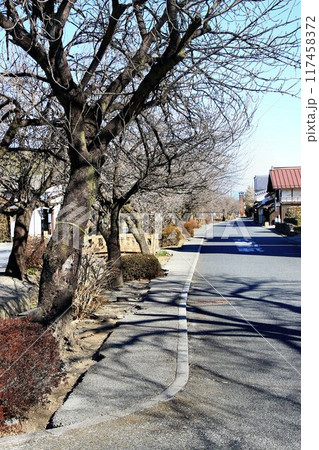 交通・経済の要衝… 上野国・白井城の城下町『白井宿』 交通・経済の要衝… 上野国・白井城の城下町『白井宿』 117458372