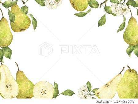 Green pear with flower and leaves frame watercolor illustration isolated on white. Hand drawn blooming fruit tree and slice label template with copy space for text Green pear with flower and leaves frame watercolor illustration isolated on white. Hand drawn blooming fruit tree and slice label template with copy space for text 117458579