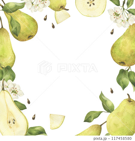 Green pear with flower and leaves square frame watercolor illustration isolated on white. Hand drawn blooming fruit tree and slice label template with copy space for text 117458580