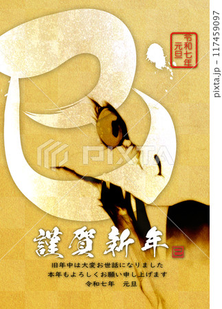 2025年年賀状、年賀、シンプル、はがき 2025年年賀状、年賀、シンプル、はがき 117459097