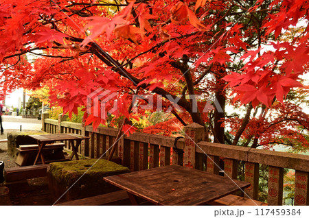 紅葉のベンチ 117459384