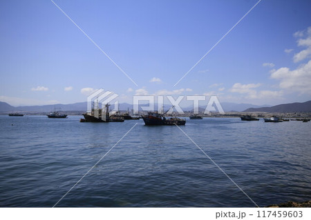 Harbour at Coquimbo Chile 117459603