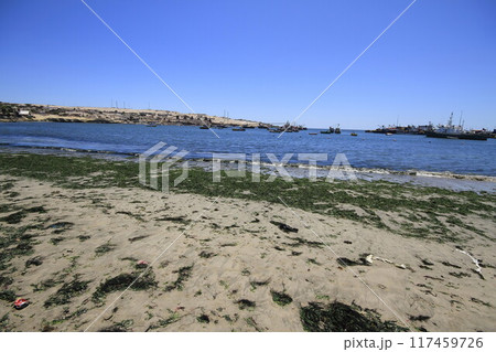 Beaches and harbour near Bahia Inglesia, Caldera, Chile 117459726