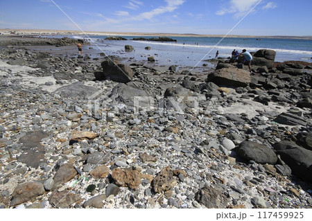 Beaches and harbour near Bahia Inglesia, Caldera, Chile 117459925