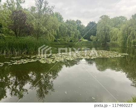 Landscape with a pond and a bridge over it in the countryside.Willow trees on the shore of the lake in the city park Landscape with a pond and a bridge over it in the countryside.Willow trees on the shore of the lake in the city park 117460227