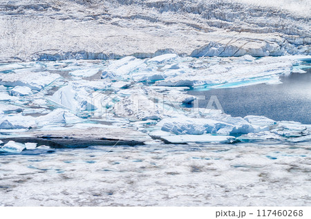 6月解氷進む立山室堂平ミクリガ池の雪筏 117460268