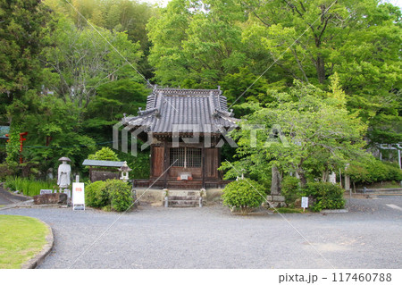 湯神社 湯神社 117460788