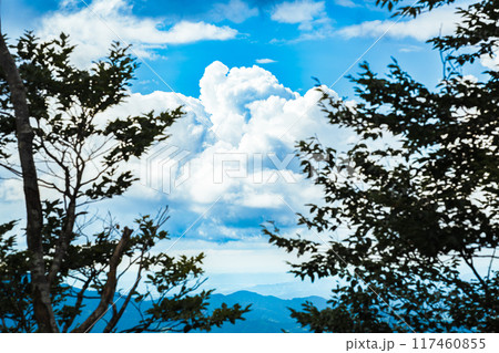 高原から望む入道雲 高原から望む入道雲 117460855