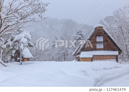 雪に覆われた冬の世界文化遺産 白川村(白川郷) 岐阜県 雪に覆われた冬の世界文化遺産 白川村(白川郷) 岐阜県 117461479