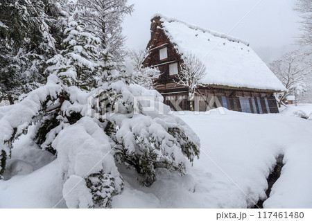雪に覆われた冬の世界文化遺産　白川村（白川郷）　岐阜県 117461480