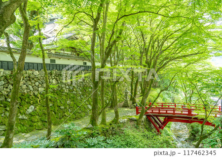 岐阜県揖斐川町　西美濃三十三霊場第一札所の新緑の横蔵寺の赤い橋 117462345