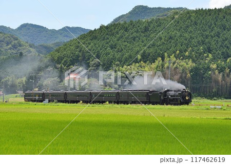 田園広がる、阿東徳佐を快走する　SLやまぐち号 117462619