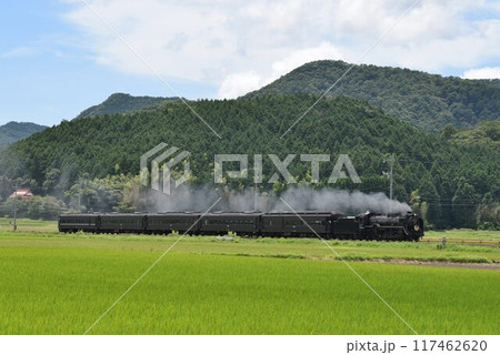 田園広がる、阿東徳佐を快走する SLやまぐち号 田園広がる、阿東徳佐を快走する SLやまぐち号 117462620