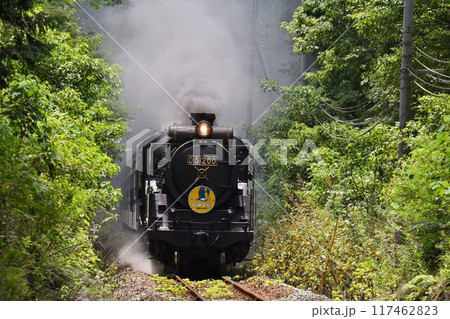 SLやまぐち号　田代トンネルを抜け　篠目へ下る　 117462823