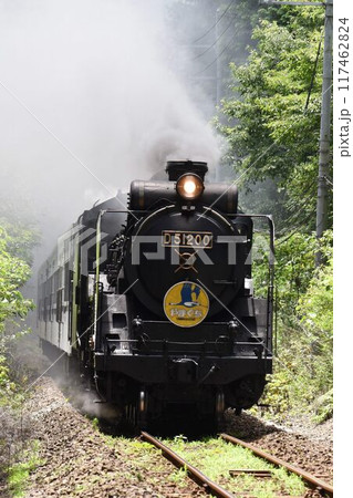SLやまぐち号 田代トンネルを抜け 篠目へ下る SLやまぐち号 田代トンネルを抜け 篠目へ下る 117462824