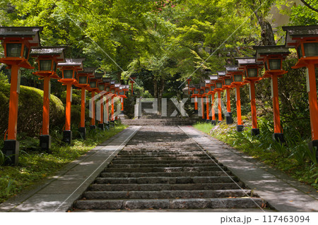 鞍馬寺の参道階段 117463094