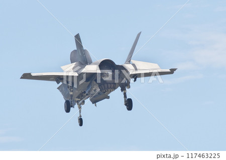 岩国基地でホバリングで飛行を行うアメリカ海兵隊のF-35B 117463225
