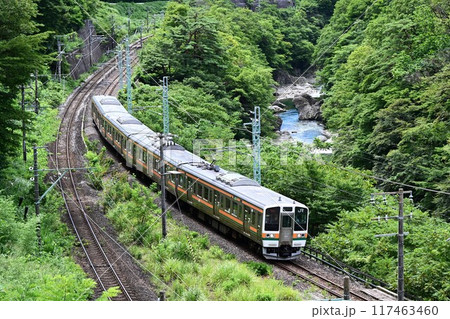 名勝諏訪峡脇を快走する　上越線電車 117463460