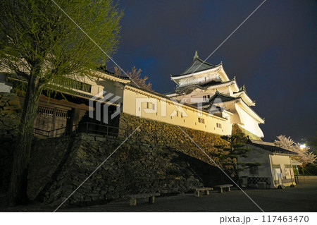【和歌山城 (夜)】 和歌山県和歌山市 【和歌山城 (夜)】 和歌山県和歌山市 117463470
