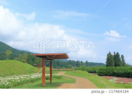 夏の国営アルプスあづみの公園 117464184