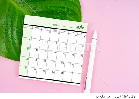 July 2025 calendar page and fresh green leaf with water drops on pink background. July 2025 calendar page and fresh green leaf with water drops on pink background. 117464318