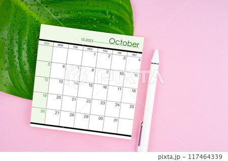 October 2025 calendar page and fresh green leaf with water drops on pink background. 117464339