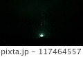 夏の夜空に咲く花火 117464557