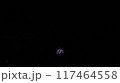 夏の夜空に咲く花火 117464558