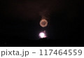夏の夜空に咲く花火 117464559