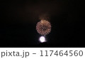 夏の夜空に咲く花火 117464560