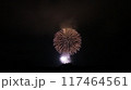 夏の夜空に咲く花火 117464561