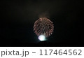 夏の夜空に咲く花火 117464562