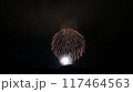 夏の夜空に咲く花火 117464563