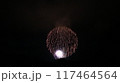 夏の夜空に咲く花火 117464564