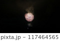 夏の夜空に咲く花火 117464565