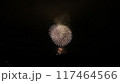 夏の夜空に咲く花火 117464566