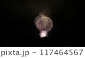 夏の夜空に咲く花火 117464567