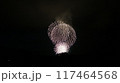 夏の夜空に咲く花火 117464568