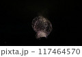 夏の夜空に咲く花火 117464570