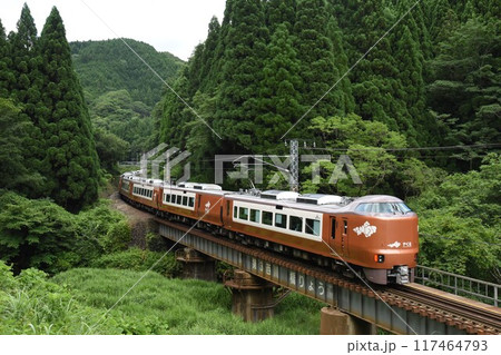 伯備線　第三西川橋梁を疾走する　新型273系振子特急 117464793