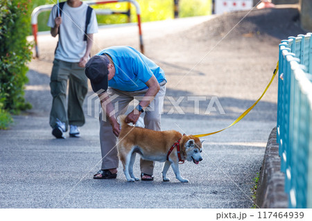 早朝の散歩で老犬の面倒を見る人 早朝の散歩で老犬の面倒を見る人 117464939
