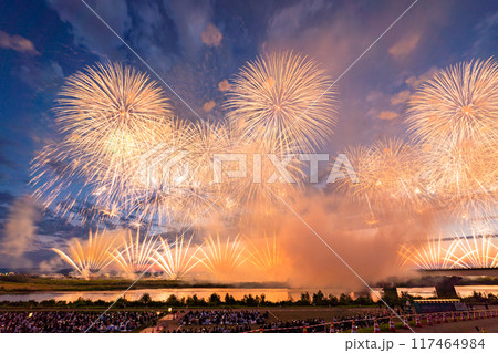 《新潟県》長岡花火大会・会場にて撮影 117464984
