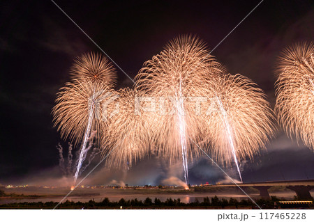 《新潟県》長岡花火大会・会場にて撮影 117465228