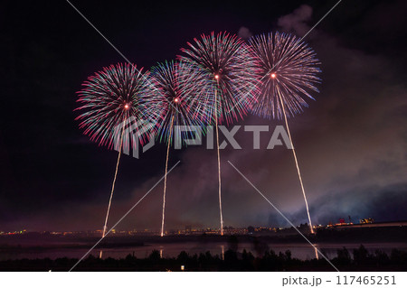 《新潟県》長岡花火大会・会場にて撮影 117465251