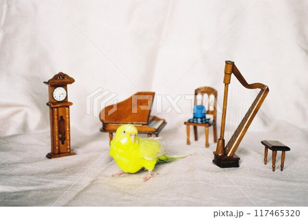 セキセイインコとミニチュア家具2 セキセイインコとミニチュア家具2 117465320