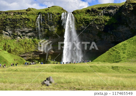 夏のアイスランド　セリャランスフォスの滝（Seljalandsfoss ） 117465549