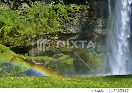 夏のアイスランド　セリャランスフォスの滝と虹（Seljalandsfoss ） 117465557