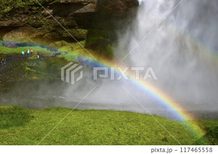 夏のアイスランド　セリャランスフォスの滝と虹（Seljalandsfoss ） 117465558
